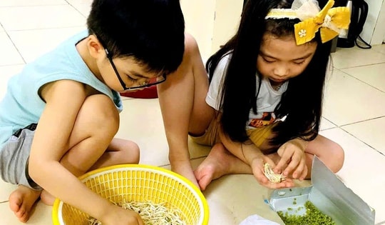 Bà nội trợ tự làm giá đỗ sạch tại nhà sau loạt vụ giá đỗ 'ngậm' hoá chất