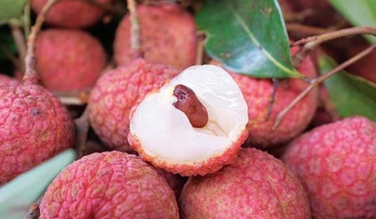 Sự kiện 'Hải Dương mùa vải chín' dự kiến được tổ chức vào cuối tháng 5