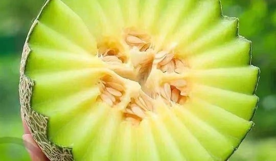 5 thực phẩm mọng nước giúp giải nhiệt, hết mệt mùa hè