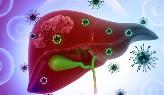 Thực phẩm mùa hè rẻ tiền, làm mát gan, người Việt nên dùng thường xuyên để giúp gan thải độc