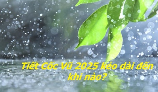 Tiết Cốc Vũ năm 2025 khi nào? 3 điều đại kỵ lưu ý trong không gian sống để tránh tán tài tán lộc