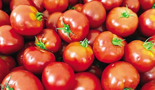 Nguyên tắc bảo quản thực phẩm, thức ăn thừa