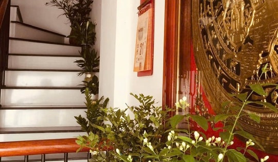 Cây cảnh đặt ở bậc cầu thang cho các mệnh Kim, Mộc, Thủy, Hỏa, Thổ