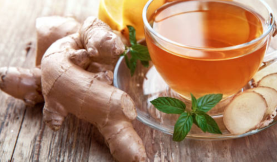 10 loại kháng sinh tự nhiên