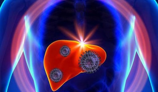 Loại quả mùa hè rẻ tiền, bán đầy chợ, người Việt ăn thường xuyên giúp làm mát gan, thải độc gan hiệu quả