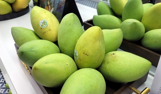 Đại diện Cục Quản lý và Phát triển thị trường trong nước  chỉ cách nhận diện trái cây Việt chuẩn