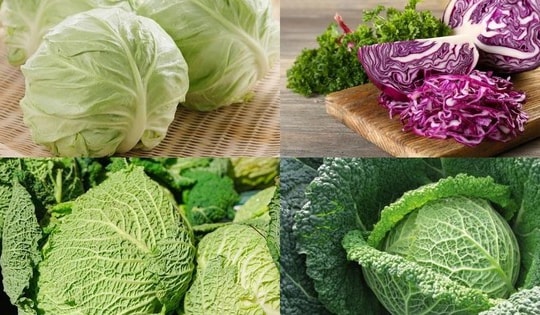 Cách ăn làm sạch máu trong cơ thể của người Nhật