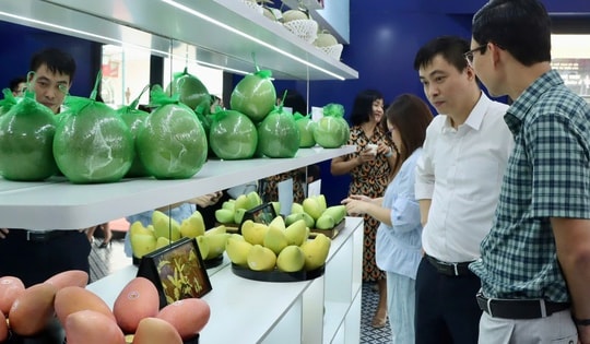Đại diện Cục Quản lý và Phát triển thị trường trong nước chỉ cách nhận diện trái cây Việt chuẩn