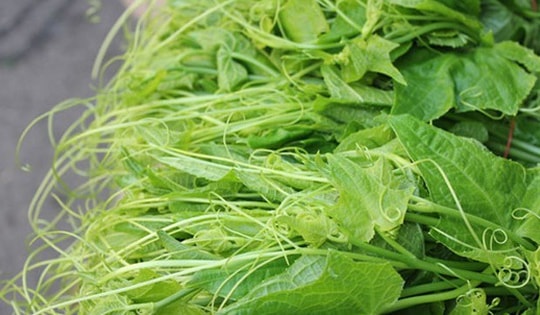 Đang tiết Cốc Vũ, nhớ ăn 4 loại rau rẻ tiền này vừa tăng sức đề kháng vừa giúp đẹp da, bổ máu