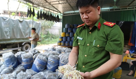 Thủ đoạn tinh vi sản xuất và tuồn 3.500 tấn giá đỗ ngâm hóa chất ra thị trường