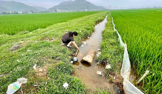 Nguy cơ ô nhiễm từ vỏ thuốc bảo vệ thực vật vứt bừa bãi trên đồng ruộng Nghệ An