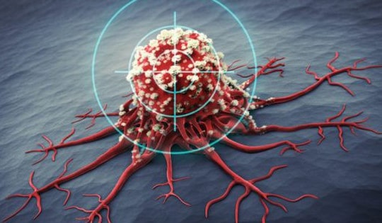 Loại quả có thể chặn tế bào ung thư di căn, siêu rẻ, được ví như 'insulin' giảm đến 60% mức đường huyết