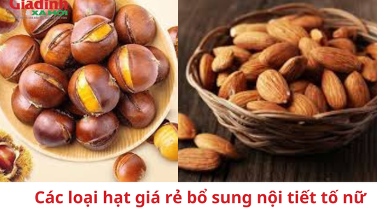Các loại hạt giá rẻ bổ sung nội tiết tố nữ