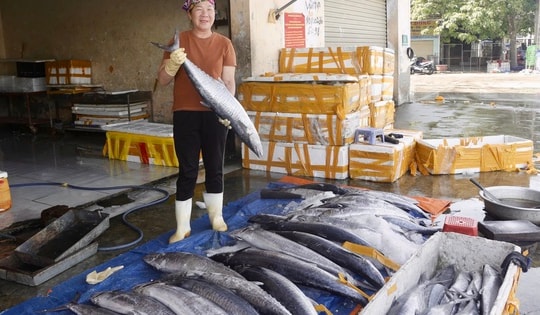 Đặc sản Cửa Lò níu chân khách du lịch