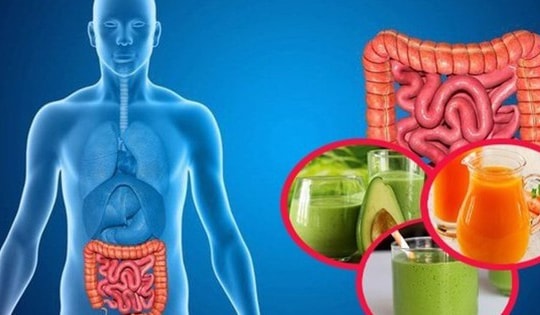 Lợi ích của chế độ ăn uống cân bằng với sức khỏe đường ruột