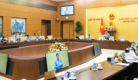 Đẩy mạnh phân cấp, phân quyền trong xử phạt vi phạm hành chính