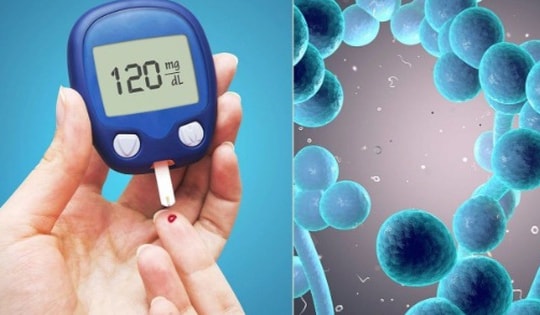 Thực hư việc ăn nhiều đường dễ tăng đường huyết và bệnh tiểu đường?