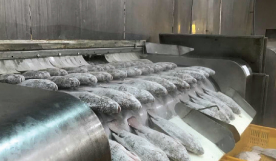 Việt Nam bất ngờ ‘hái quả ngọt’ từ một mặt hàng xuất khẩu Mỹ: kim ngạch tăng 105%, nước ta có sản lượng 300.000 tấn