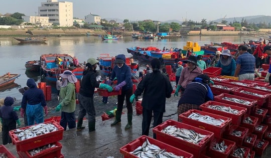 Chợ cá Nghi Thủy 'níu' chân du khách