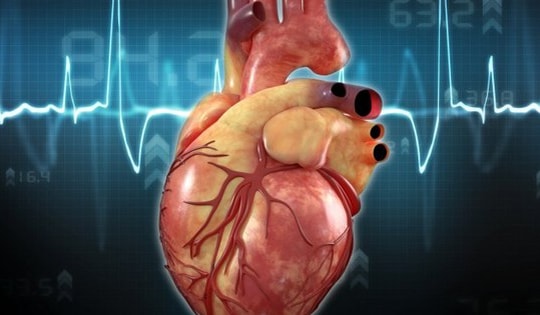 Báo động vi nhựa làm 356.000 người tử vong mỗi năm do bệnh tim