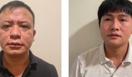 Triệt phá đường dây buôn lậu quy mô lớn qua biên giới