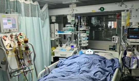 Người đàn ông suy gan, suýt chết sau bữa ăn: Bác sĩ thốt lên 'do ăn 1 thứ chứa độc tố cực mạnh'