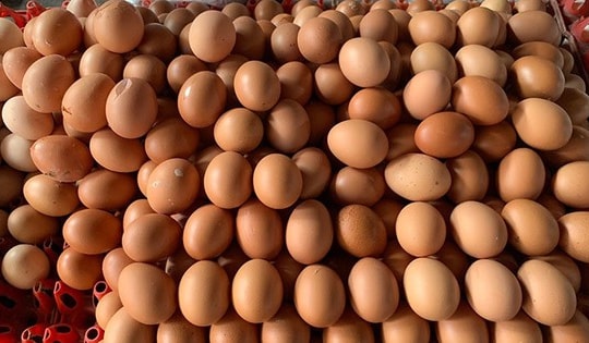 Một quốc gia Đông Nam Á bỏ cả trợ cấp giá trứng gà, thả nổi theo thị trường