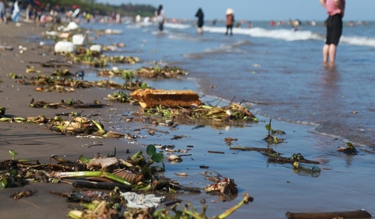 Rác thải tràn lan dọc bờ biển Rạng Đông ở Nam Định, du khách vẫn vô tư tắm