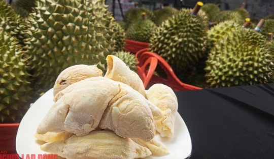 Loại quả phải 'giải cứu' nhiều năm, nay giá còn cao hơn sầu riêng