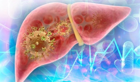 5 loại thuốc nam rẻ tiền bán đầy chợ Việt, mùa hè dùng theo cách này để làm mát gan, thải độc gan hiệu quả