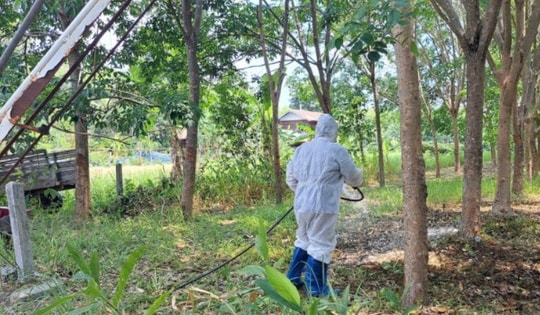 Thái Lan có ca tử vong vì bệnh than đầu tiên trong 30 năm, lo bùng dịch