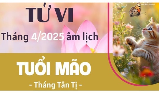 Tháng 4 âm lịch Ất Tỵ 2025, con giáp tuổi Mão rực rỡ về tài lộc, nhưng lại cần chú ý một điều đặc biệt này