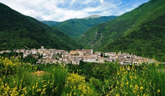 Thị trấn sống chung với gấu hoang