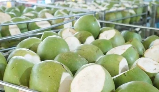 Không phải sầu riêng, một báu vật triệu đô của Việt Nam đang lên cơn sốt giá trên toàn thế giới, Mỹ và Trung Quốc nhập khẩu hàng đầu