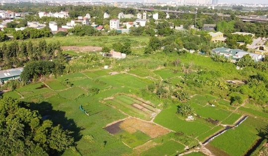 Những quy định cần biết về thực hiện thừa kế đất đai 2025