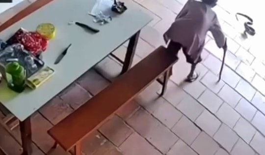 Thót tim video cụ bà 96 tuổi dùng gậy đuổi rắn hổ mang