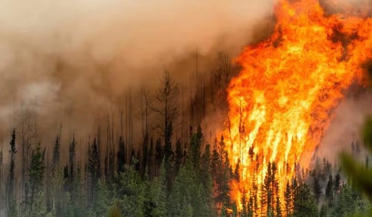 70 khu vực có nguy cơ cao cháy rừng do nắng nóng