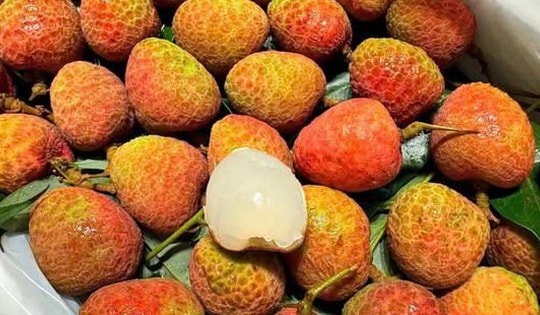 Vải u hồng đầu mùa giá đắt hơn sầu riêng, tiểu thương nhập hàng không đủ để bán