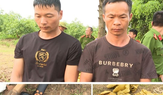 Diễn biến mới nhất vụ 2 người nước ngoài xâm phạm mộ vua Lê Túc Tông để săn cổ vật