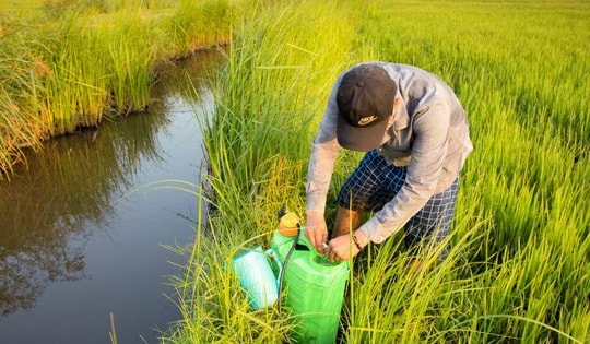 Cấp thiết nâng cao nhận thức, giảm thiểu rủi ro từ thuốc bảo vệ thực vật