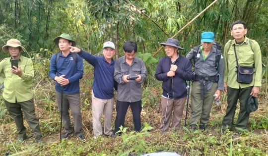 Ninh Thuận chủ động phương án ứng phó trước nguy cơ cháy rừng cao