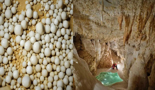 Đang đào mương dẫn nước, 'kho báu' 480 triệu năm tuổi bất ngờ lộ diện: kì quan có 1-0-2 ở Trung Quốc