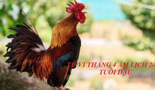 Con giáp tuổi Dậu đón nhiều tin vui, lộc đổ về sầm sập trong tháng 5