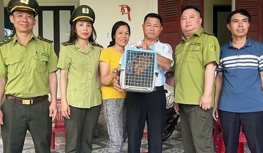 Phát hiện động vật quý hiếm trong vườn nhà