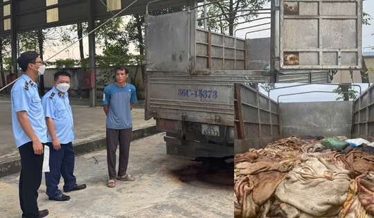 Bắt giữ gần 5 tấn da trâu, bò không rõ nguồn gốc