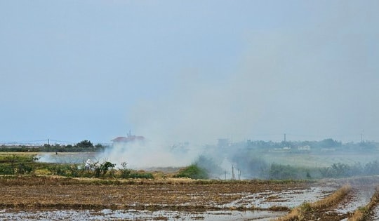 Nhiều người dân bị phạt vì đốt rơm rạ ở Huế