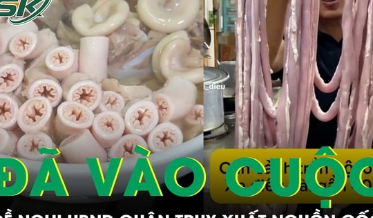 Vào cuộc truy xuất nguồn gốc thực phẩm tại cơ sở có lòng se điếu dài 40 m