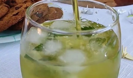 Bất ngờ với loại lá gia vị giúp chống muỗi hiệu quả ngày hè làm nguyên liệu của nhiều món ngon giải nhiệt nắng nóng