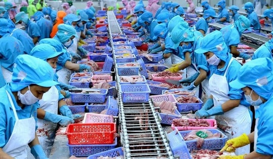 Thủ tướng chỉ đạo loạt biện pháp tăng cường xuất khẩu hàng nông lâm thủy sản