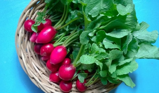 Loại củ chứa chất chống oxy hóa cao, giúp đẹp da, chống lão hóa